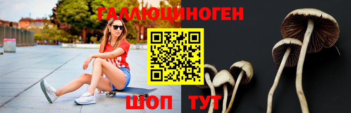 Псилоцибиновые грибы прущие грибы  Вход с VPN  Сорочинск  Галлюциногенные грибы мухоморы 